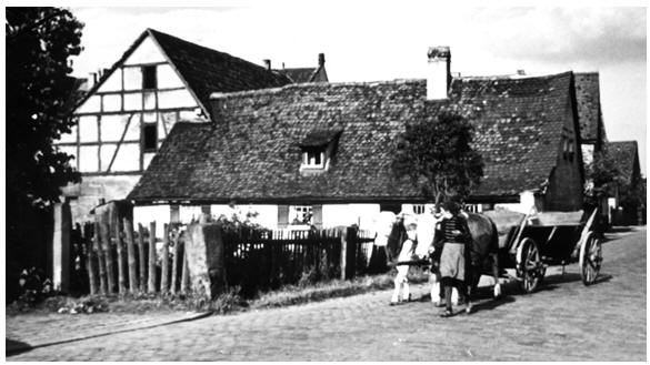 Taubershof 1956, Ortsstraße</p>
<p>