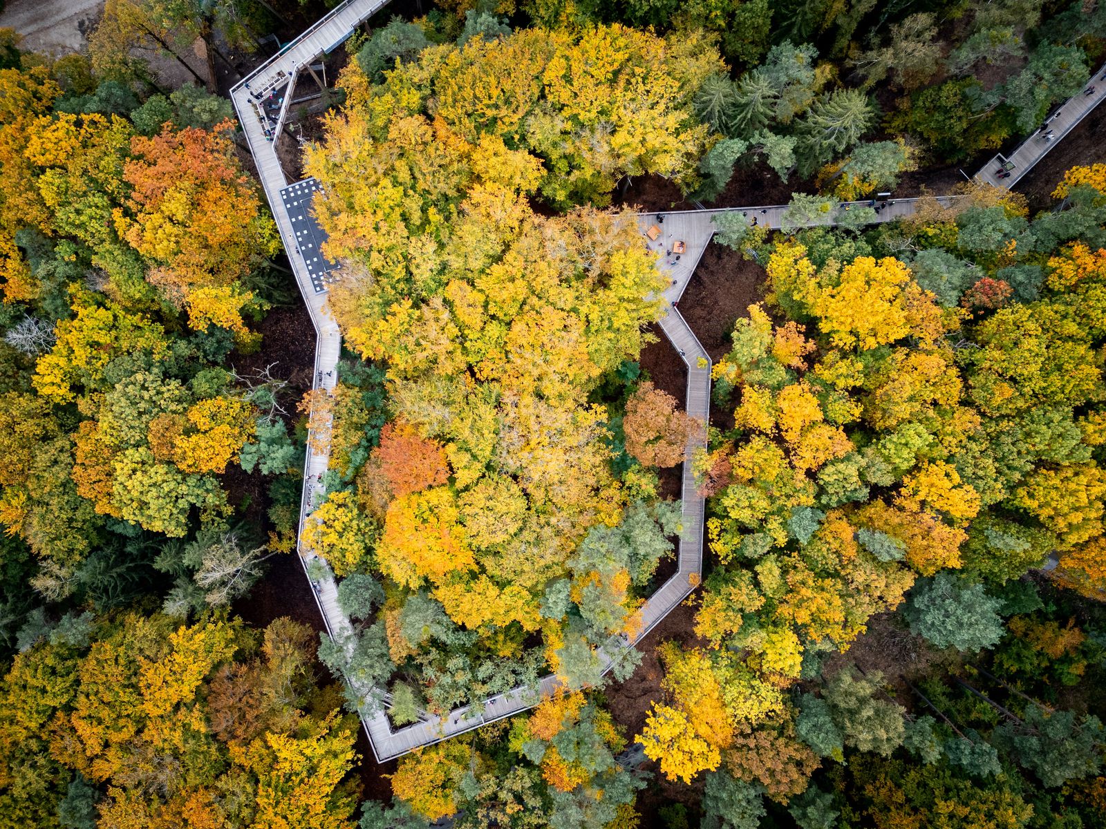 Klimawaldpfad Tiergarten Nürnberg im Herbst (c) Thomas Hahn